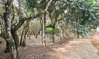 Imagem 4: Terreno de 1.575m² em condomínio de luxo na Vila de São Fernando, Cotia-SP: sua oportunida