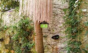 Imagem 5: Linda casa com 400 m² de área construída. Pode ser ponto comercial ou moradia!