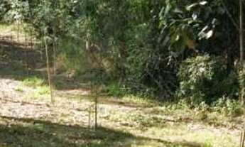 Imagem: Terreno de 522,67 m² em condomínio exclusivo