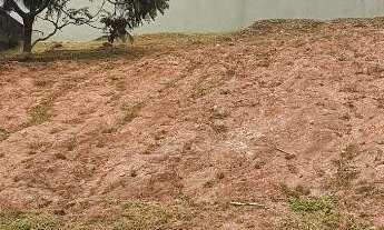 Imagem 3: Terreno em Condomínio à Venda em Cotia-SP - São Paulo II 501m² de Pura Oportunidade