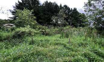 Imagem 3: Excelente oportunidade! Lote na Fazendinha com 1.420 m² de terreno plano e livre de árvore