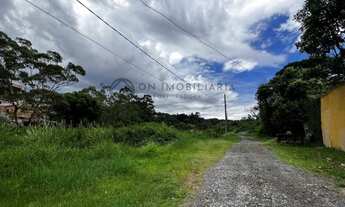 Imagem 2: Excelente oportunidade! Lote na Fazendinha com 1.420 m² de terreno plano e livre de árvore