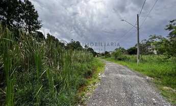 Imagem 6: Excelente oportunidade! Lote na Fazendinha com 1.420 m² de terreno plano e livre de árvore