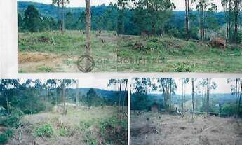 Imagem 4: Lindo Lote no Embu com 1.550 m², sendo 36m de frente e 44m de fundo. Excelente localizaçã