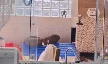 Imagem 7: Excelente oportunidade de casa em condomínio à venda em Cotia-SP, bairro Paisagem Renoir