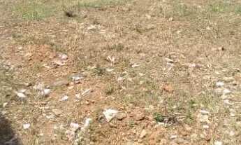 Imagem 2: Terreno à venda em Cotia-SP, Parque São George, 250m² de área! Confira essa oportunidade ú