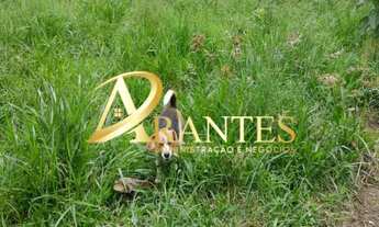 Imagem 4: Terreno Residencial em Atibaia - São Paulo, Portão