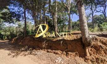 Imagem 3: Terreno Residencial em Atibaia - São Paulo, Portão