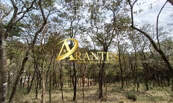 Imagem 6: Terreno Residencial em Atibaia - São Paulo, Portão