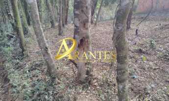 Imagem 5: Terreno Residencial em Atibaia - São Paulo, Portão