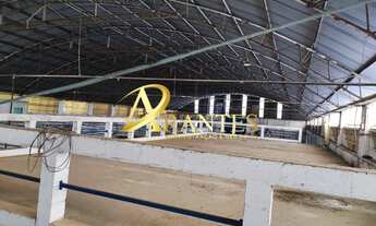 Imagem 3: Galpao COMERCIAL em Mairiporã - São Paulo, Terra Preta (Terra Preta