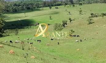 Imagem 4: Terreno Residencial em Atibaia - São Paulo, Portão