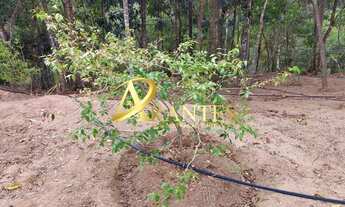 Imagem 6: TERRENO EM CONDOMÍNIO Residencial em Atibaia - São Paulo, Loteamento Rancho Maringá I