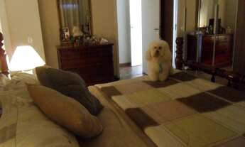 Imagem 4: APARTAMENTO RESIDENCIAL em São Paulo - São Paulo, Água Branca