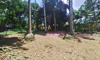 Imagem 7: Lote Exclusivo com Projeto Aprovado – 849,63 m² de Potencial e Sofisticação - Jardim Colib