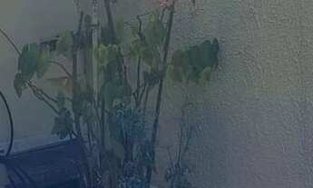 Imagem 5: Casa Térrea à Venda no Condomínio SP2 – Granja Viana