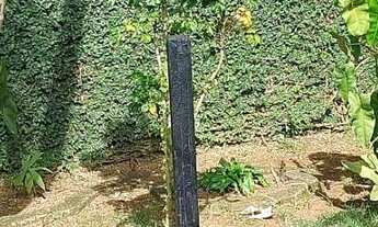 Imagem 7: Casa Térrea à Venda no Condomínio SP2 – Granja Viana