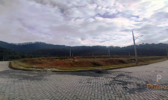 Imagem 3: Terreno - Loteamento Jardim das Hortênsias Cedro Alto - Brusque/SC