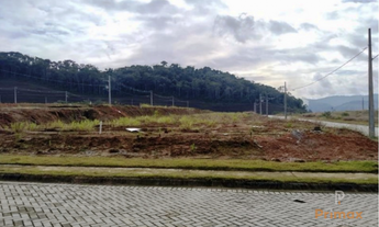 Imagem 4: Terreno - Loteamento Jardim das Hortênsias Cedro Alto - Brusque/SC