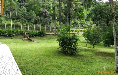 Imagem 2: CASA COM AMPLO TERRENO EM NOVA TRENTO