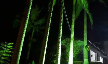 Imagem 7: Casa Mista com Excelente Área Externa - Aproximadamente 3600m² - Guabiruba Sul