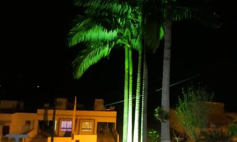 Imagem 3: Casa Mista com Excelente Área Externa - Aproximadamente 3600m² - Guabiruba Sul