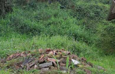 Imagem 6: Lindo lote proximo centro Brusque