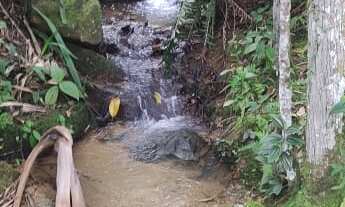 Imagem 4: Lindo sítio com muita natureza e água em abundância