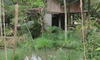 Imagem 5: Lindo sítio com muita natureza e água em abundância
