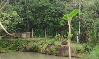 Imagem 6: Lindo sítio com muita natureza e água em abundância