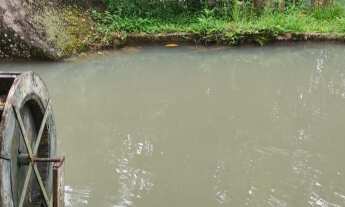 Imagem 7: Lindo sítio com muita natureza e água em abundância