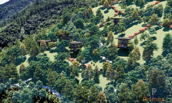 Imagem 2: Excelente loteamento de Sítios em Botuvera com muita natureza