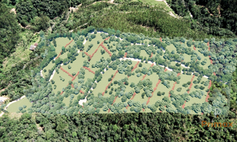 Imagem 3: Excelente loteamento de Sítios em Botuvera com muita natureza