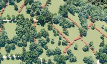 Imagem 5: Excelente loteamento de Sítios em Botuvera com muita natureza