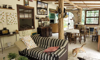 Imagem 6: Lindo sítio com casa em Brusque a 5 km do centro