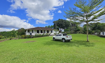 Imagem: Vendo fazenda produtiva em Barro Preto
