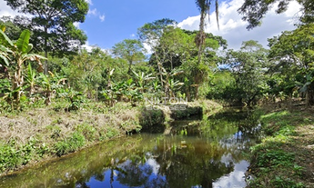 Imagem 2: Vendo fazenda produtiva em Barro Preto