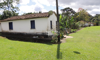 Imagem 3: Vendo fazenda produtiva em Barro Preto