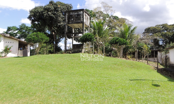 Imagem 4: Vendo fazenda produtiva em Barro Preto