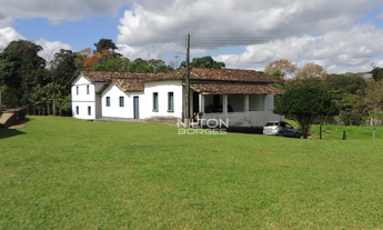 Imagem 6: Vendo fazenda produtiva em Barro Preto