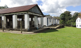 Imagem 7: Vendo fazenda produtiva em Barro Preto