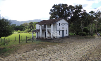 Imagem 5: VENDO FAZENDA DE AÇAÍ E CACAU