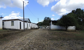 Imagem: VENDO FAZENDA DE AÇAÍ E CACAU