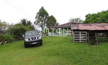 Imagem: Vendo um sítio próximo da rodovia Ilhéus/Itabuna