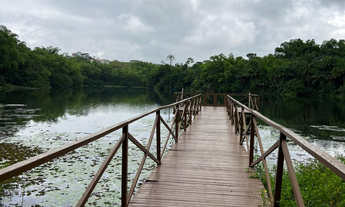 Imagem: Terreno na Fazenda Real Residence em Simões