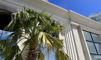 Imagem 3: APARTAMENTO NO RESIDENCIAL TOURMALINE TOWER