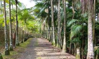 Imagem 2: SÍTIO NO BAIRRO ESCALVANDIA, NAVEGANTES/SC