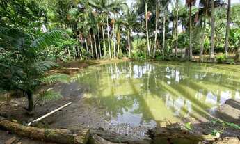 Imagem 7: SÍTIO NO BAIRRO ESCALVANDIA, NAVEGANTES/SC