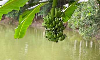 Imagem 5: SÍTIO NO BAIRRO ESCALVANDIA, NAVEGANTES/SC