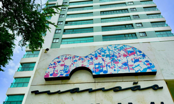 Imagem 5: Caminho das Árvores